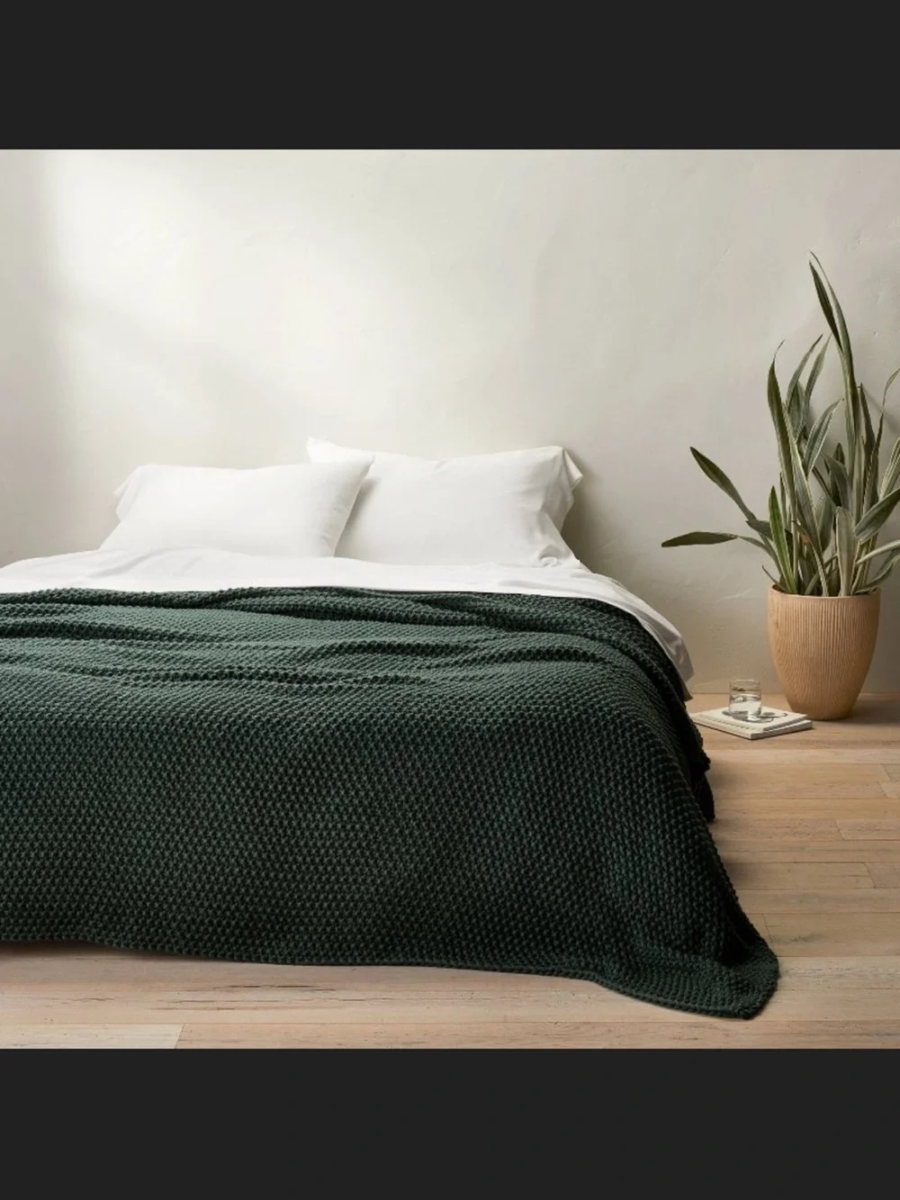 Casaluna cozy forest